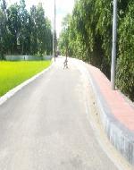 20171011_124812 (Custom)